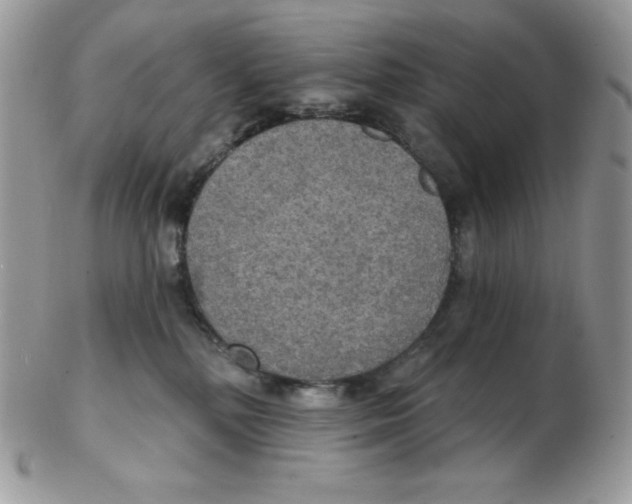 X0000102410232200808221918