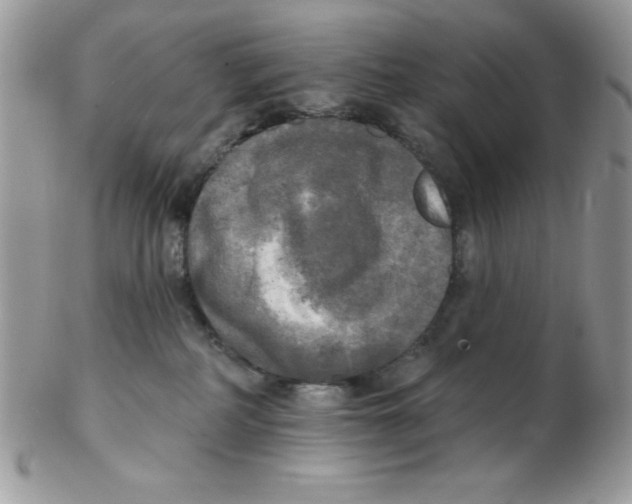 X0000102410234200808221918