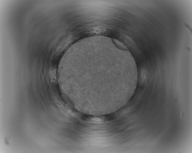 X0000102410236200808221918