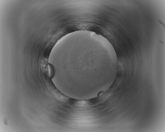 X0000102410237200808221918