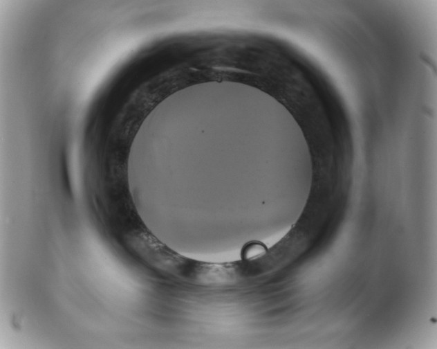 X0000102410239200808221918