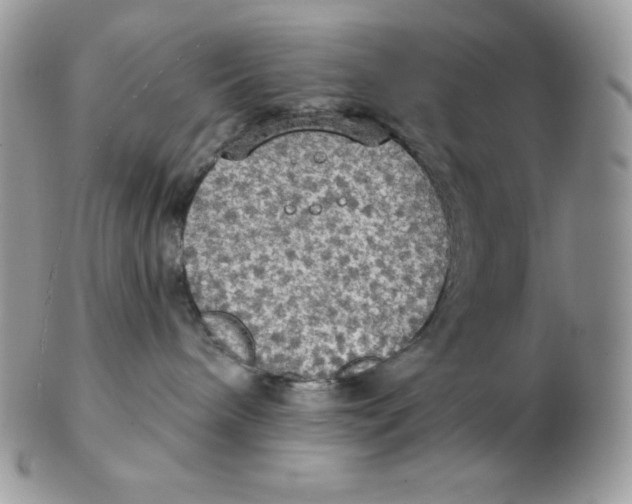 X0000102410240200808221918