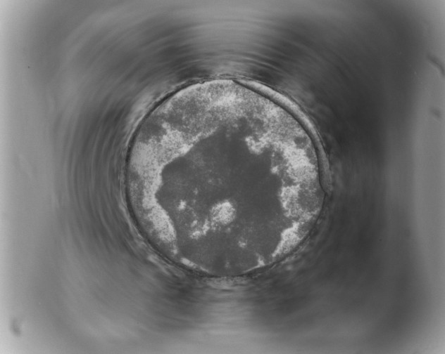 X0000102410241200808221918