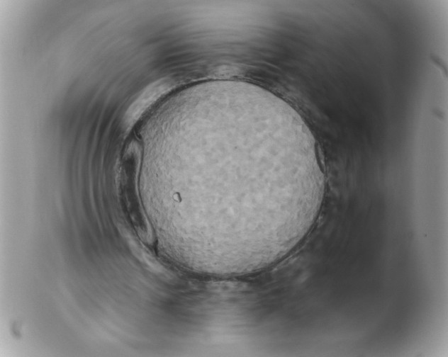 X0000102410242200808221918