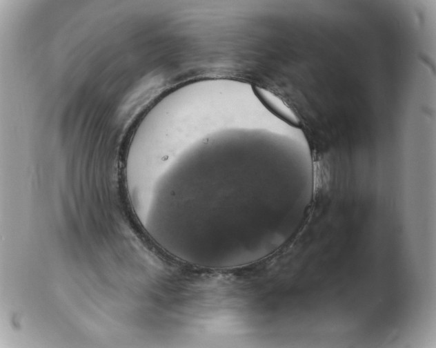 X0000102410243200808221918