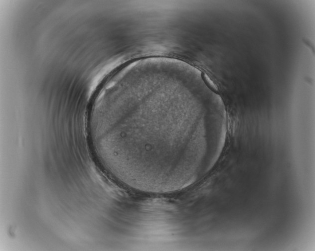 X0000102410244200808221918