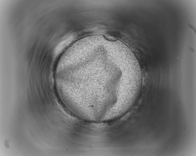 X0000102410245200808221918