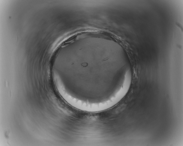 X0000102410247200808221918