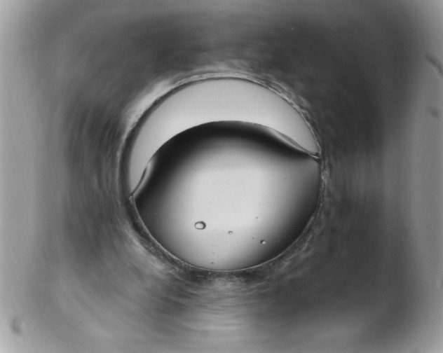 X0000102410248200808221918