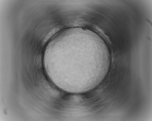 X0000102410250200808221918