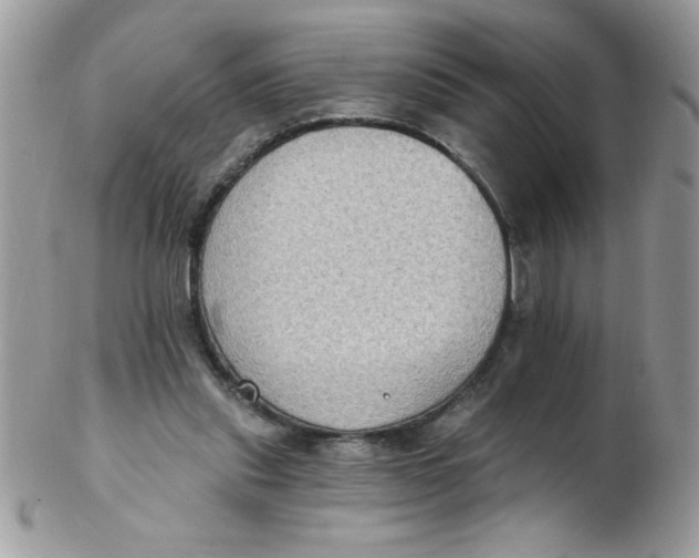 X0000102410253200808221918