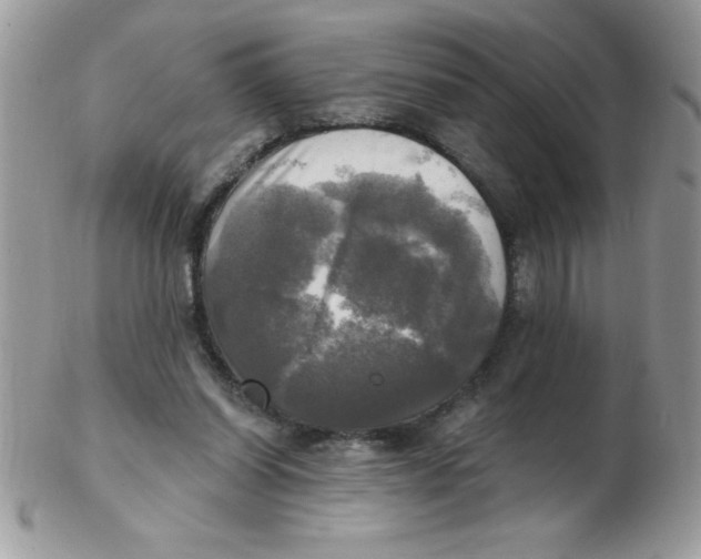 X0000102410254200808221918