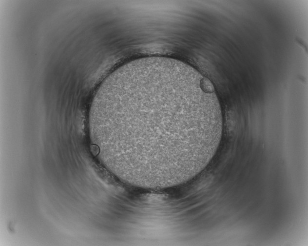 X0000102410255200808221918