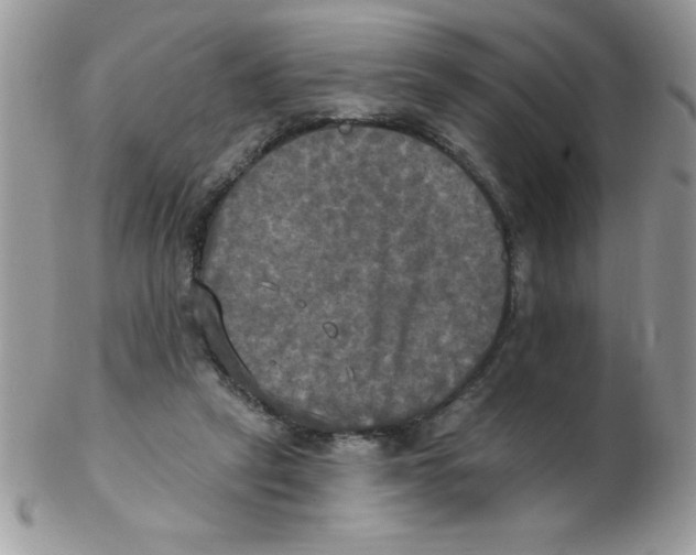 X0000102410257200808221918