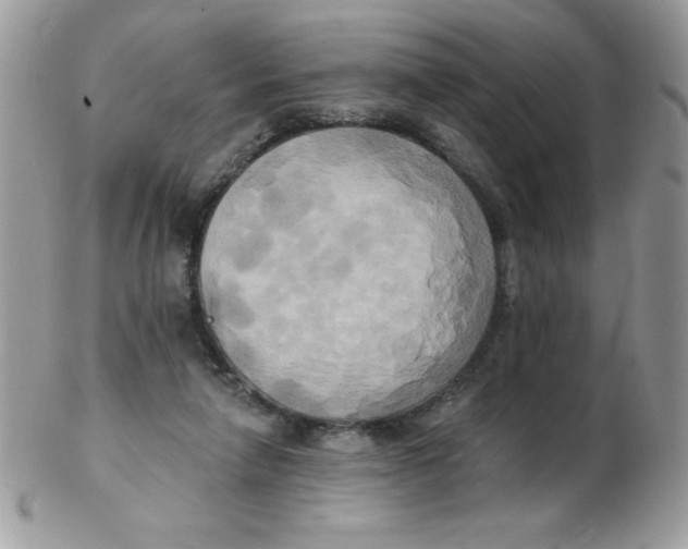 X0000102410258200808221918