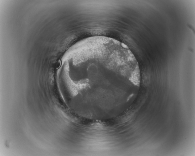 X0000102410259200808221918