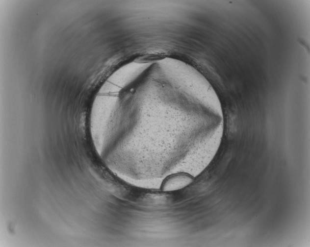 X0000102410260200808221918