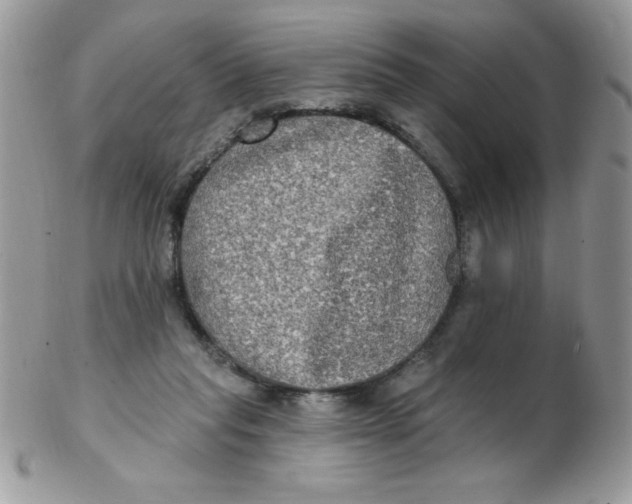 X0000102410261200808221918