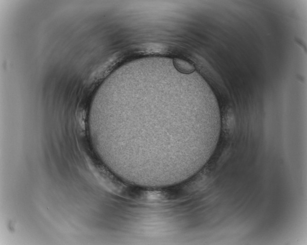 X0000102410264200808221918