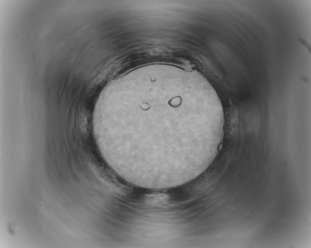 X0000102410266200808221918