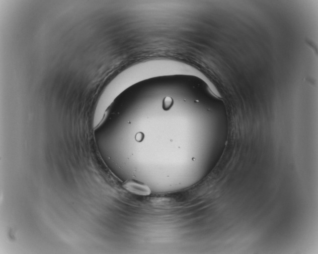 X0000102410268200808221918