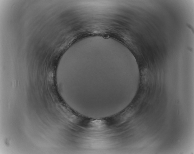 X0000102410269200808221918