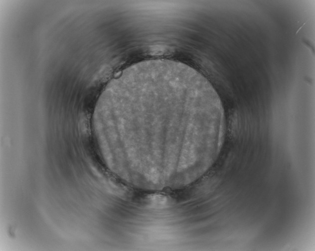 X0000102410272200808221918