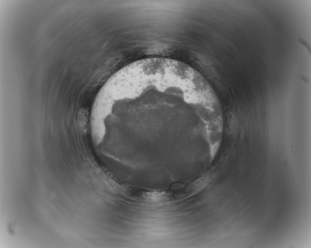 X0000102410273200808221918