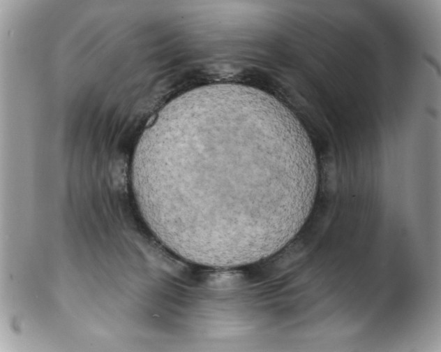 X0000102410274200808221918