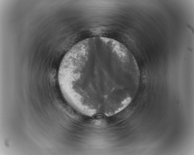 X0000102410275200808221918