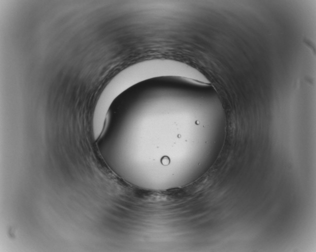 X0000102410276200808221918