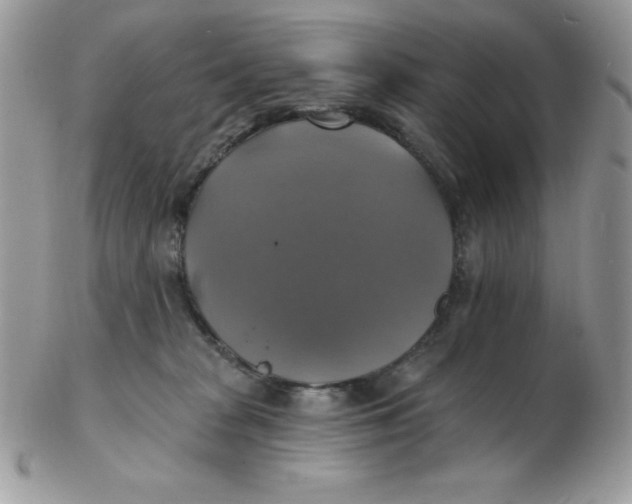 X0000102410277200808221918