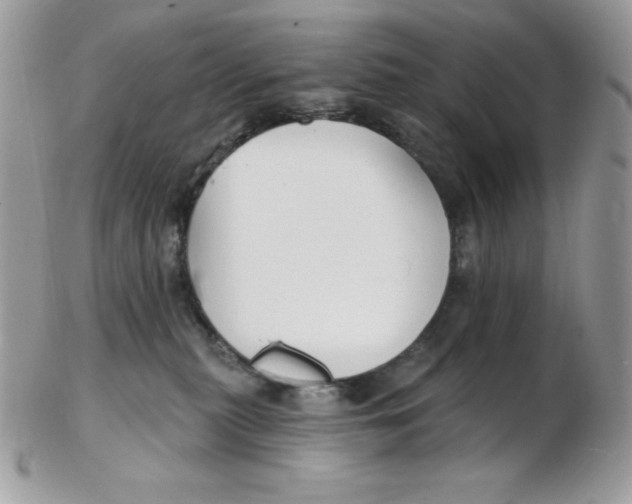 X0000102410279200808221918