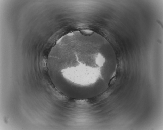 X0000102410281200808221918