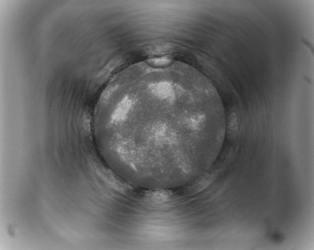 X0000102410282200808221918