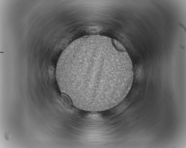 X0000102410283200808221918