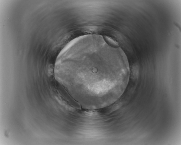 X0000102410284200808221918