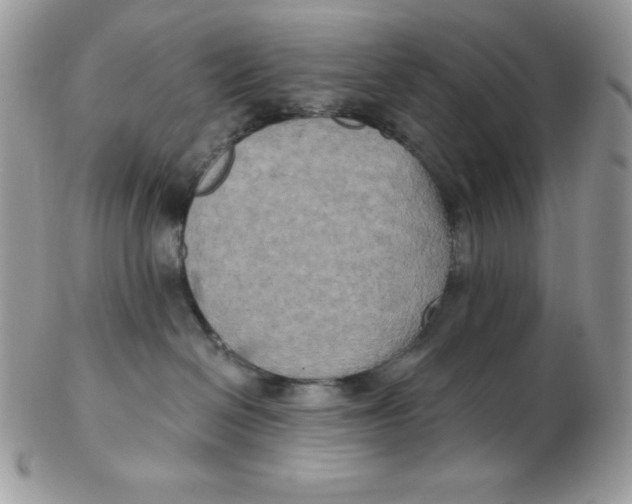 X0000102410286200808221918