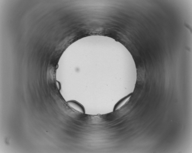 X0000102410287200808221918