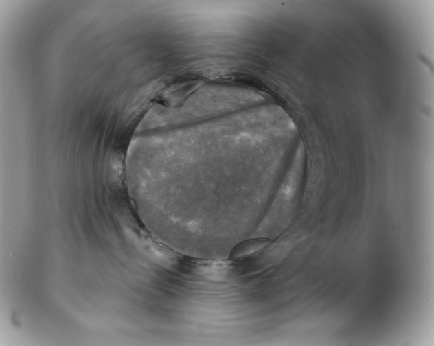 X0000102410288200808221918