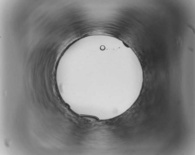 X0000102410289200808221918