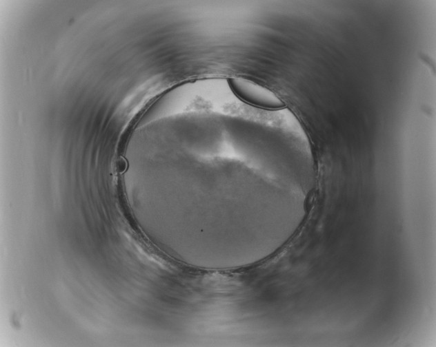 X0000102410290200808221917