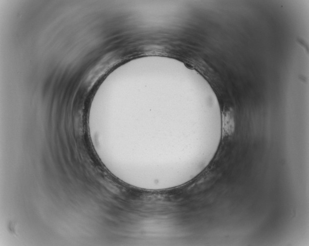 X0000102410291200808221917