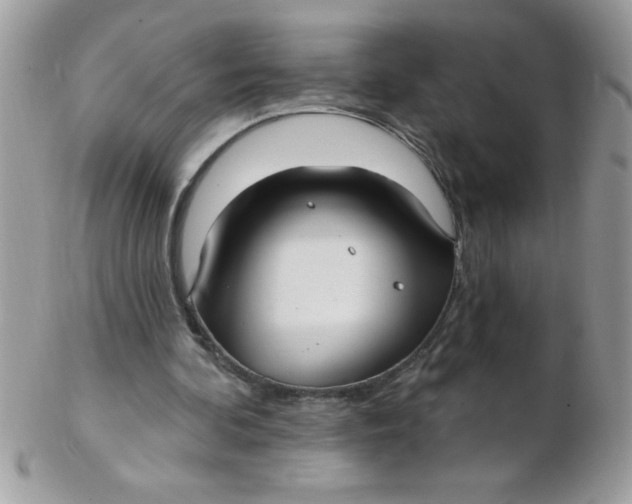 X0000102410292200808221917