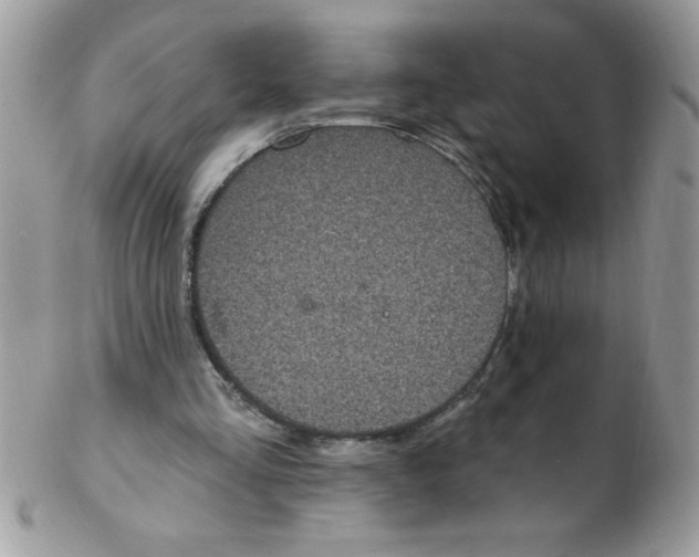 X0000102410293200808221917