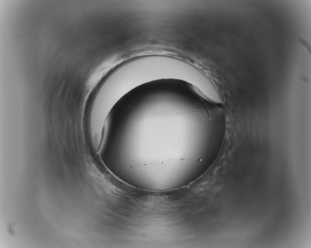 X0000102410296200808221917