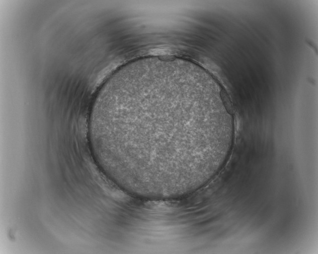 X0000102410297200808221917