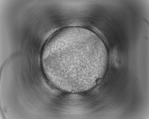 X0000102410298200808221917