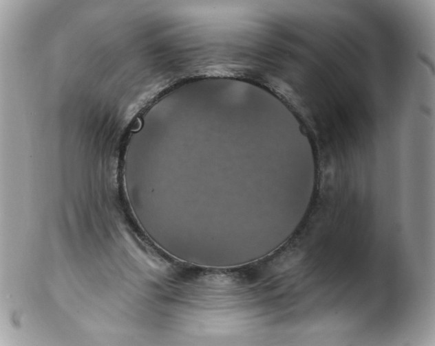 X0000102410299200808221917