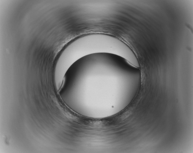 X0000102410301200808221917